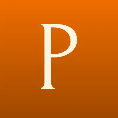 Профессионал, компания по ремонту стиральных машин, лого-визитка